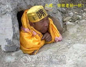 二师兄,轮都轮到你出手咧