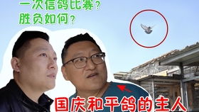 士兵表情包生日快乐