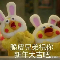 养猪秘籍表情包