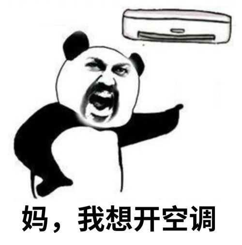 ch圈表情包清晨