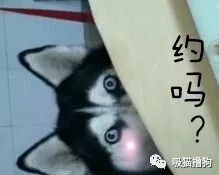 神来之笔国画大神唰唰两下,竟然变出一只二哈