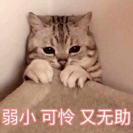 头条广西24个市县区下雪啦低温天气你需要了解这些