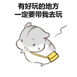 希望可以有个人这样对我图片表情包