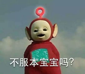 老会计,十宗罪,别怪我没提醒你