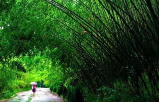 河南的大美水景,2000多年前已是皇室最钟爱的胜地