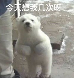 最近超奈斯撒娇表情包火了我混世魔王,申请做你的小熊软糖