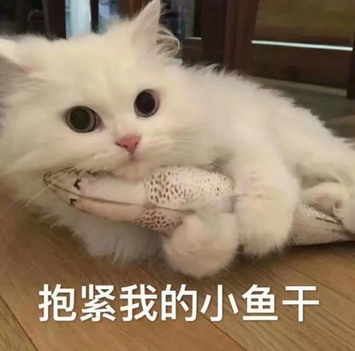 得瑟的表情包抖腿受虐