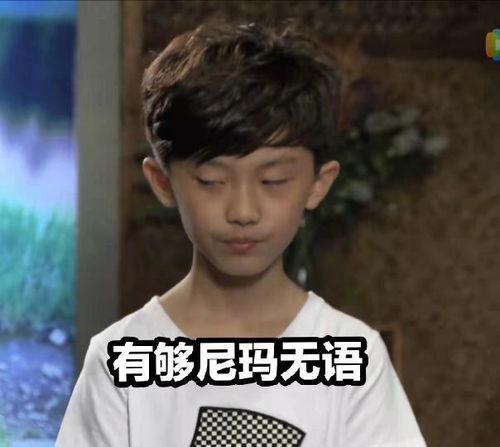 沙雕表情包什么是快乐星球