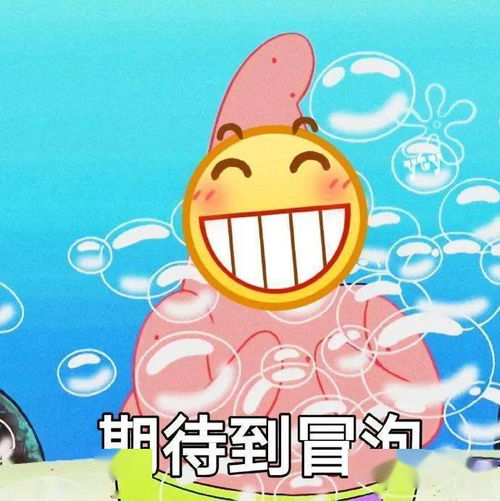 提前剧透小夏带你抢先体验厦大研究生课程,赶紧码起来