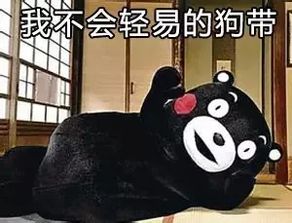 日本熊本县发生大地震,熊本熊,你还好么