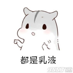可爱仓鼠表情包养猫