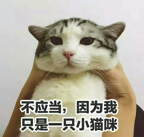 养饱荷包大作战几招拯救科院人的钱包