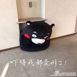 九州加油熊本不哭看那些年熊本萌萌的表情包