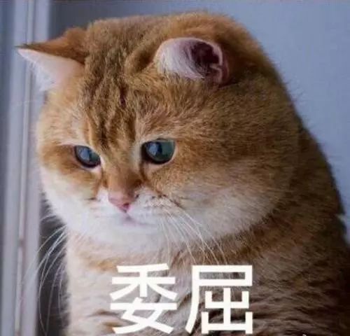 领导回复这个表情啥意思在线等,挺急的