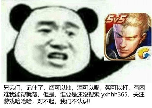 王者荣耀马可波罗废了不,是你不会玩,s24出场依旧极高