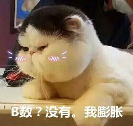 女生自己有好身材是什么体验