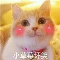 可爱猫咪微信表情包2018萌萌哒猫咪微信表情包腾牛个性网