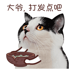 麦粒酥微信表情真猫版上架啦