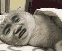 返程马山人的后尾箱都装满了什么