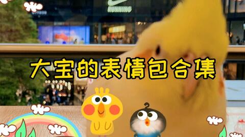 表情包,想要图片的私信我鸭