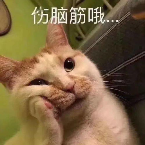 去阿富汗工作,年薪200万真相是...