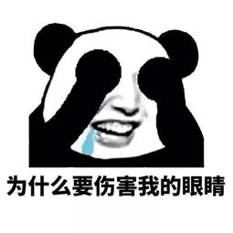 看书表情包模板五块钱