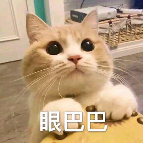 挠头,有没有什么电视机推荐呀