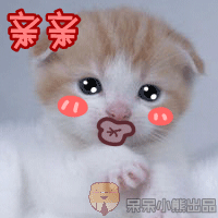 呆呆小熊恶搞猫狗表情
