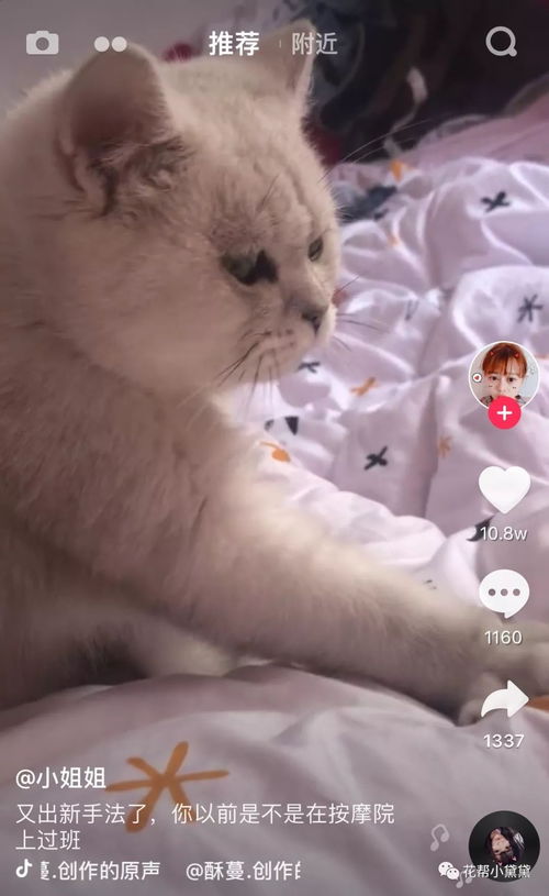 抖音套路风靡抖音的手指舞视频,3分钟到底发生了什么