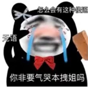 熊猫表情包爷看你的时候,眼里有光哦