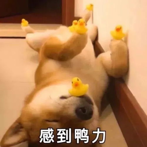 畅购节一键导购你想知道的都在这里福利券中奖名单公布