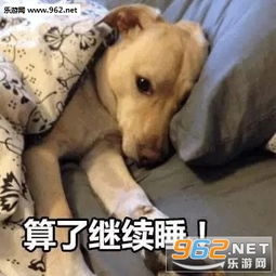 我又可爱又可爱又可爱反正就是特别可爱表情包算了继续睡表情包下载乐游网游戏下载
