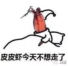 被皮皮虾我们走刷屏了新一届网红表情包,到底火在哪