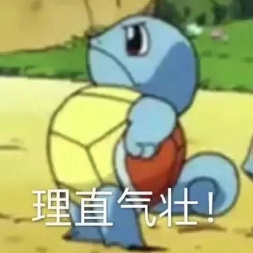 杰尼龟集合