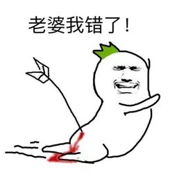 表情包老婆大人,我知道错了