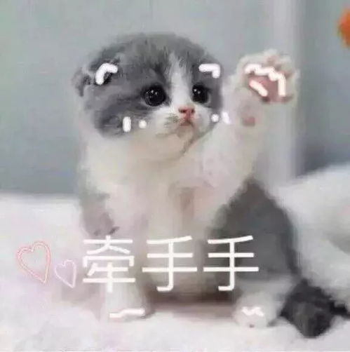 增补期待最最最优秀的你