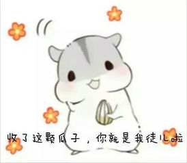 求qq里很萌的仓鼠表情包,太可爱了w