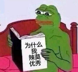 就哔哔愿有所爱,也有所期待