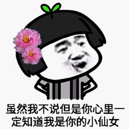 小仙女表情包图片