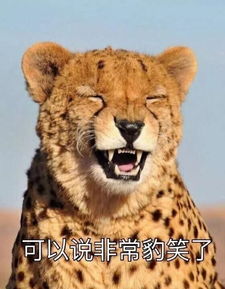 动物来找茬由热门表情包引发的一次科普搜狐娱乐搜狐网