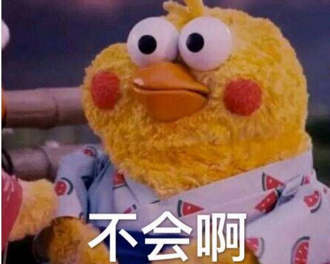 脚疼表情包鹦鹉兄弟
