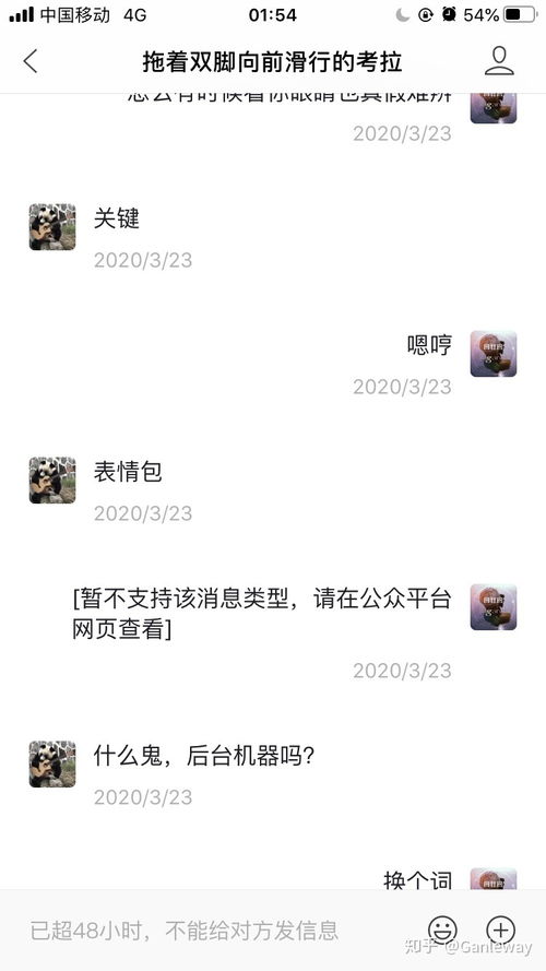 微信公众号收到的消息回复怎么看