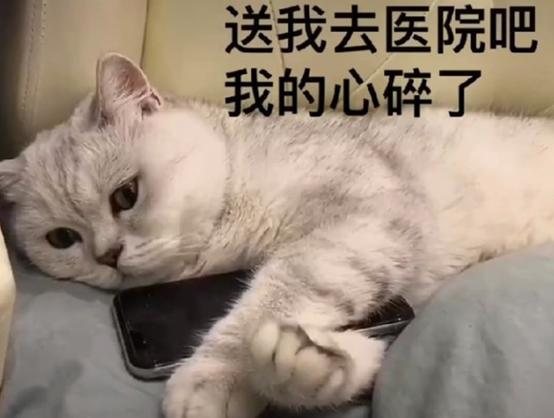 拯救娱乐圈的紫微星从希望和幻灭之间,只用了一秒的时间