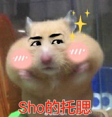 仓鼠吃太多双手托腮表情包高清版