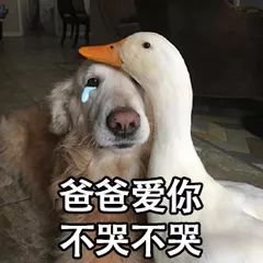 为什么别人语文总比你高关键就在这5分钟