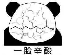 确认过表情包,我们是学同一专业的人