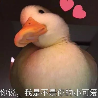 留学路途还在迷茫看看拿下offer的大神都做了些什么
