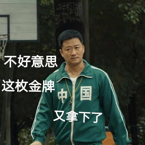 奥运会期间吴京沙雕表情包