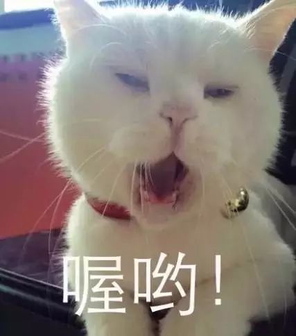 太阳公公终于出来了,今天的朋友圈瞬间被点亮啦