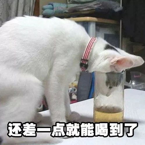 每天喝3斤白酒,男子险丧命原来喝酒真的会上瘾......